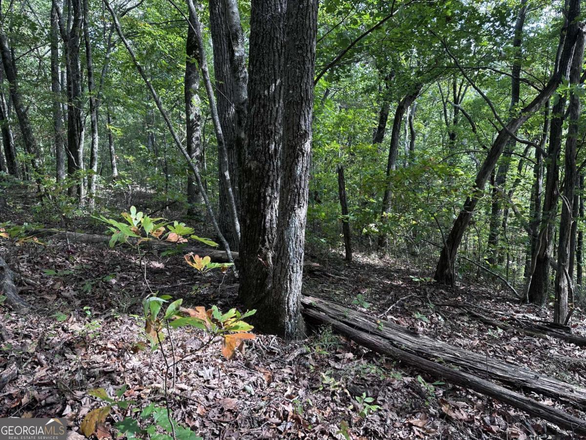 30 Andes Ridge Property Photo 7