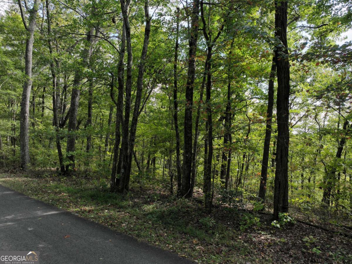 30 Andes Ridge Property Photo 9