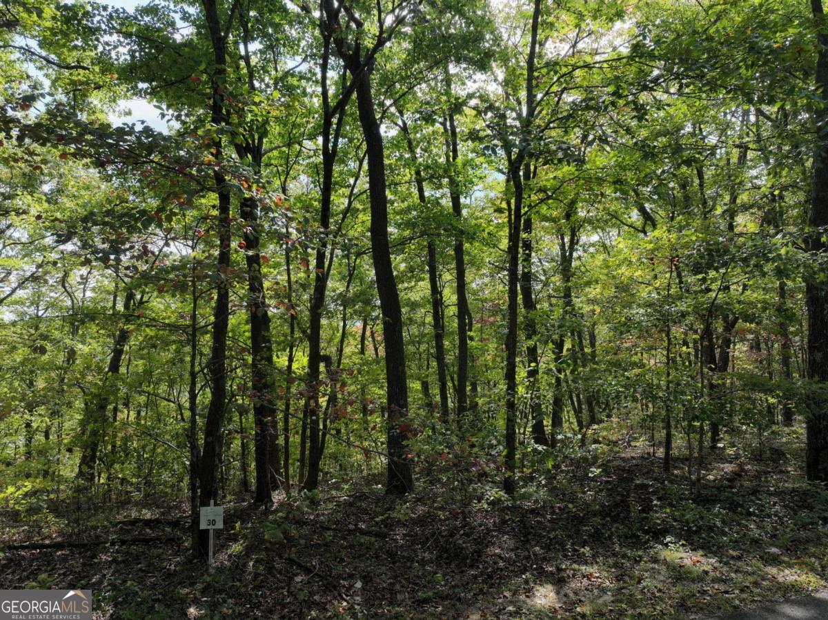 30 Andes Ridge Property Photo 11