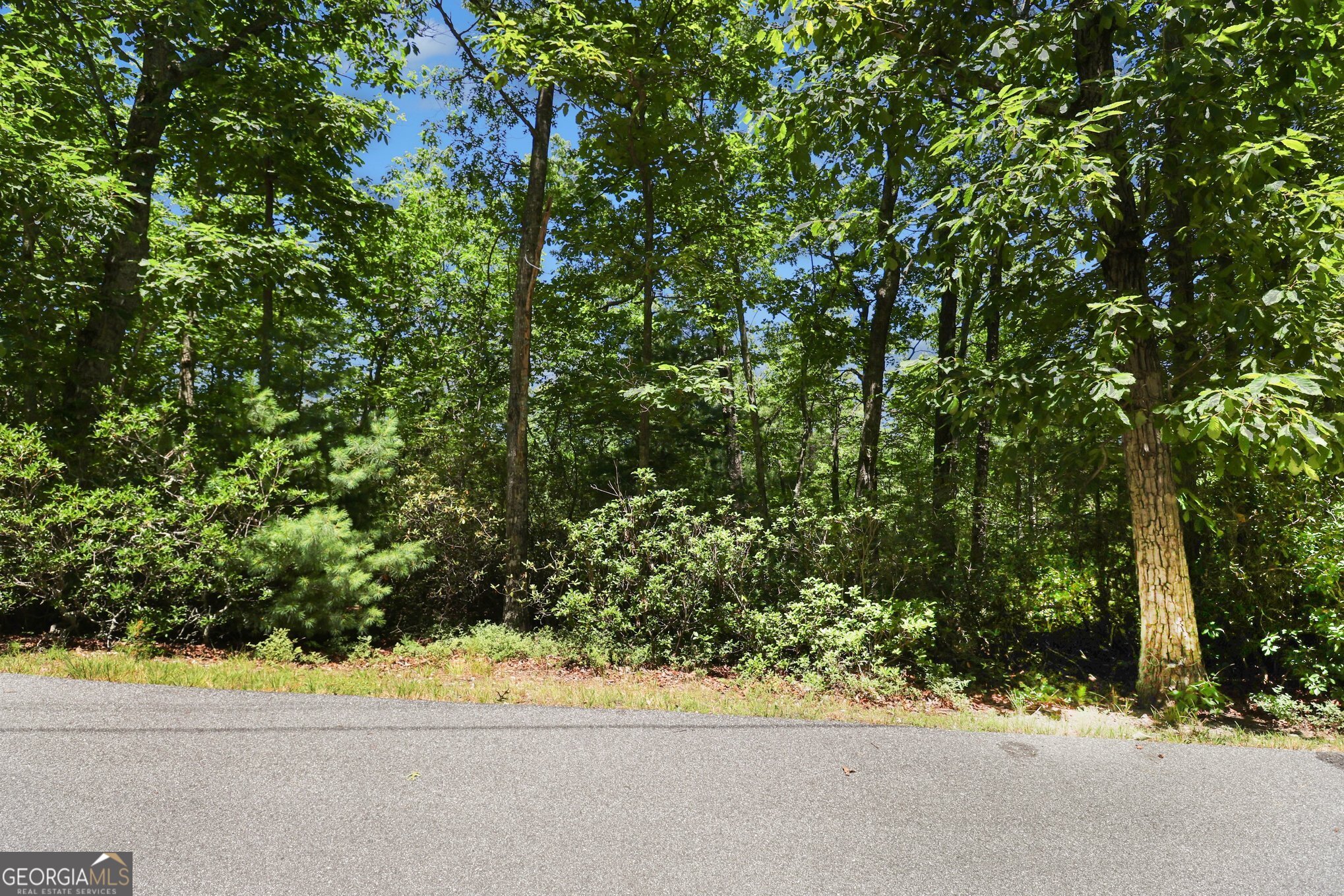 00 - Lot 62 Tallulah View Property Photo 7