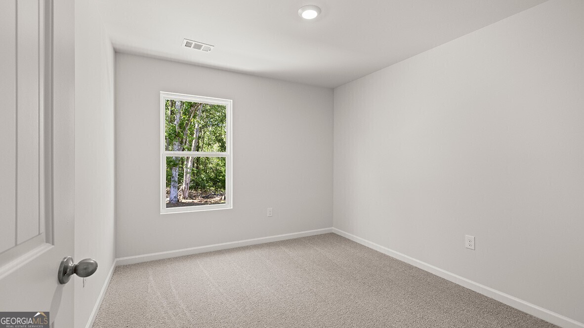 4203 Merlin Pass Property Photo 19