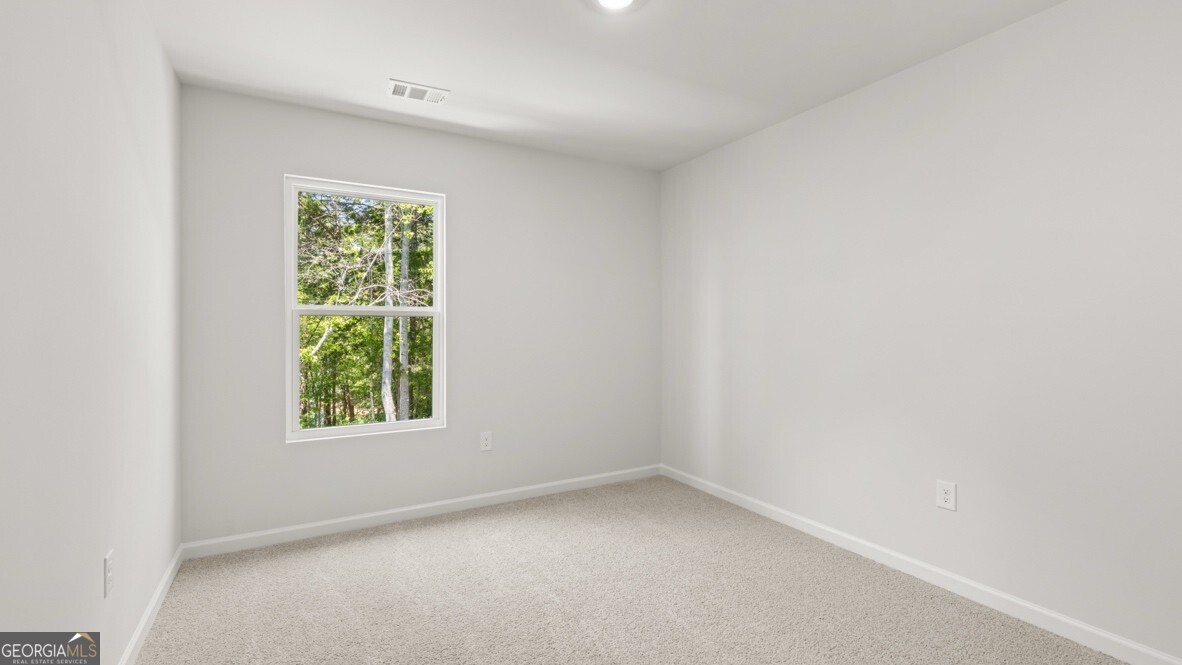 4211 Merlin Pass Property Photo 22