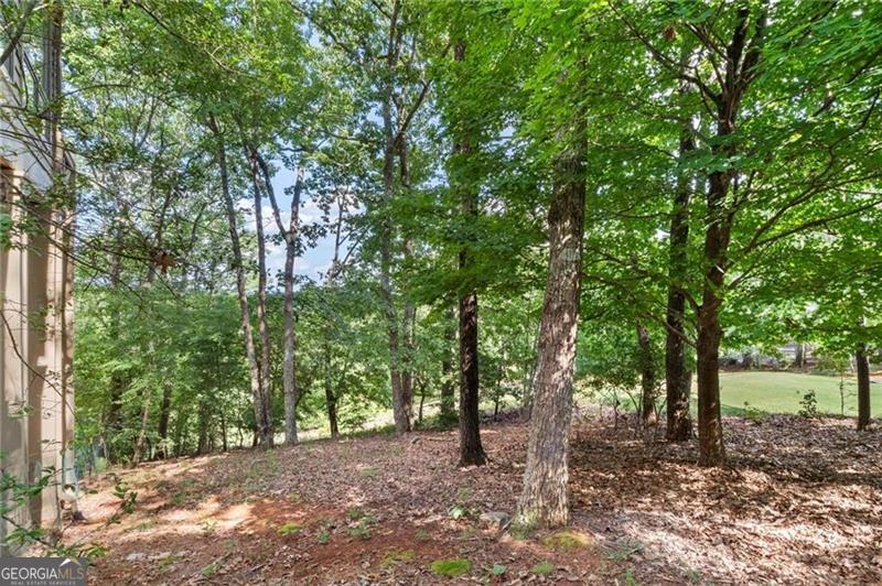 861 Summit Drive Property Photo 76