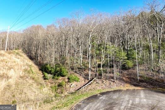 7.39ac Turner Ridge Drive Property Photo 10