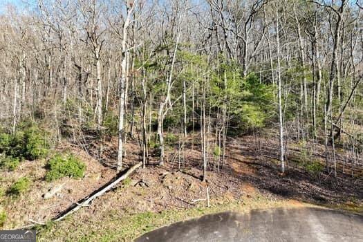 7.39ac Turner Ridge Drive Property Photo 15
