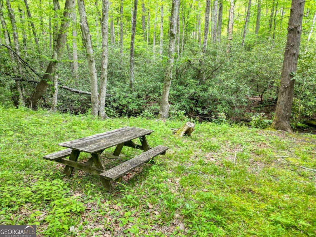 180 Dream Catcher Cove Property Photo 8