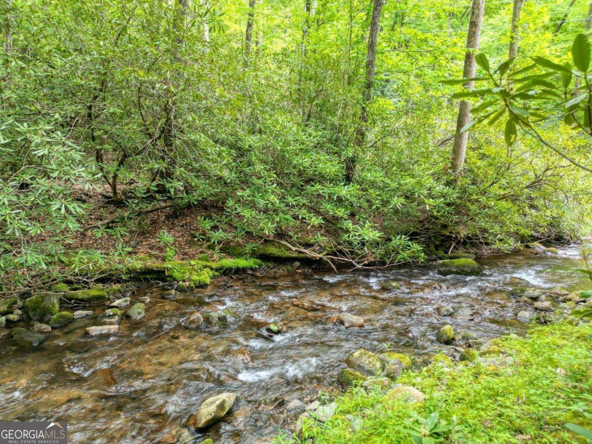 180 Dream Catcher Cove Property Photo 9