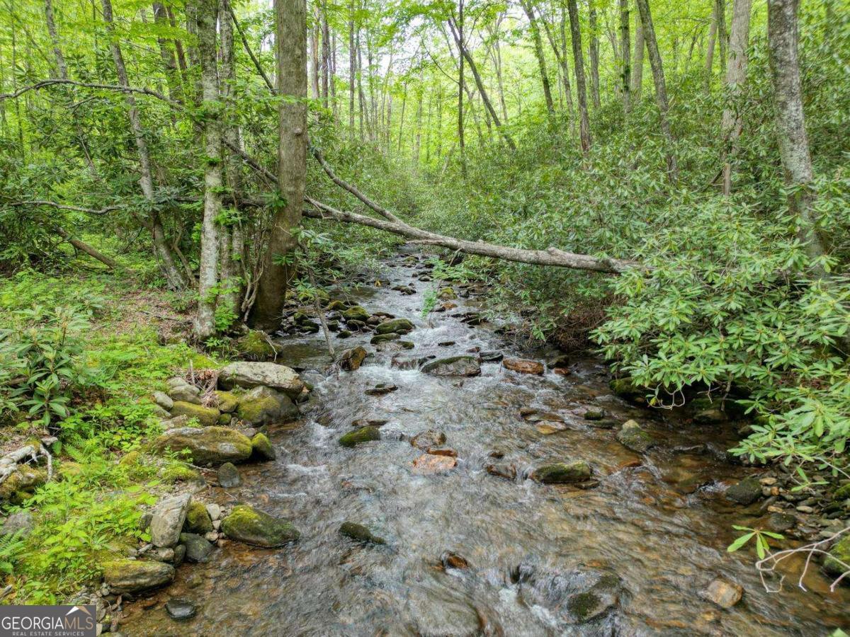 180 Dream Catcher Cove Property Photo 10