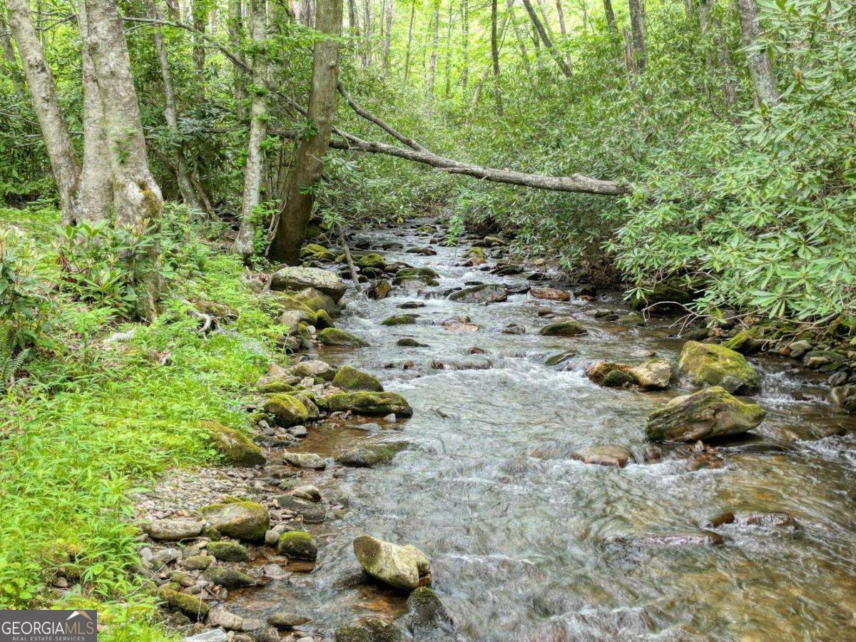180 Dream Catcher Cove Property Photo 11