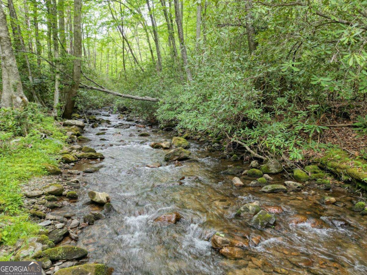 180 Dream Catcher Cove Property Photo 12