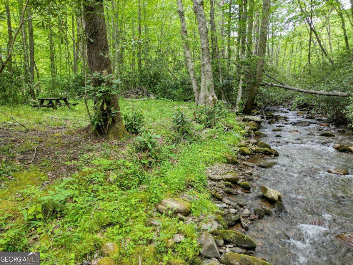180 Dream Catcher Cove Property Photo 14