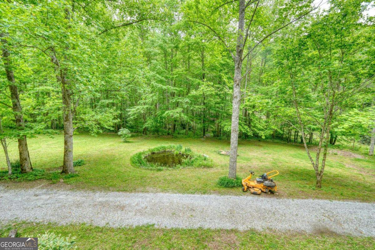 180 Dream Catcher Cove Property Photo 19