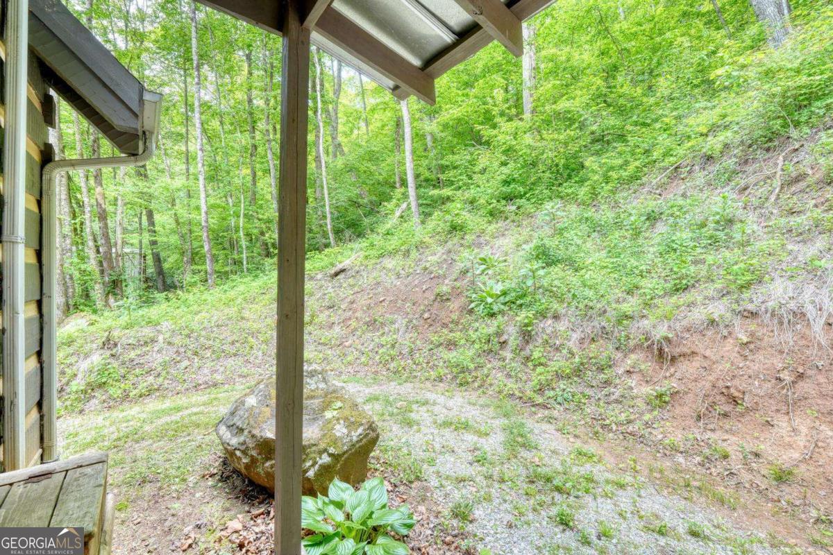 180 Dream Catcher Cove Property Photo 39