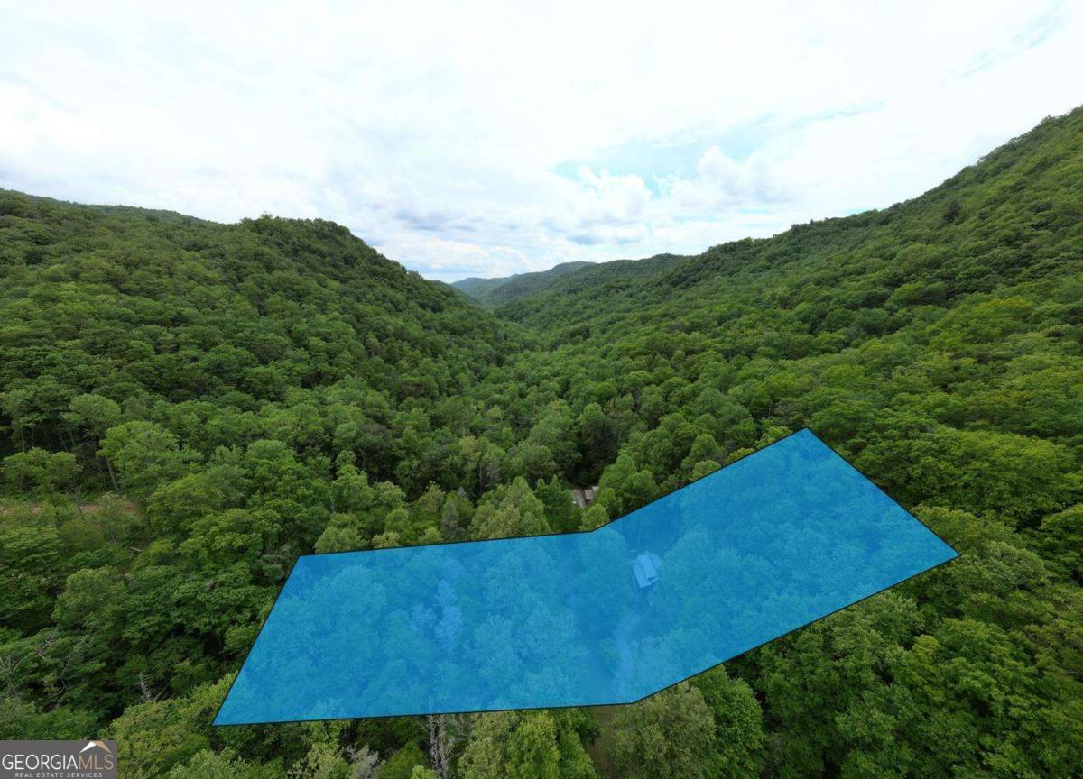 180 Dream Catcher Cove Property Photo 43