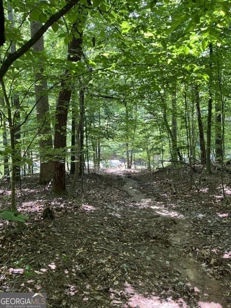 5585 Browns Bridge Road Property Photo 31