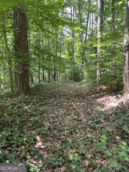 5585 Browns Bridge Road Property Photo 35
