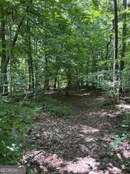 5585 Browns Bridge Road Property Photo 37