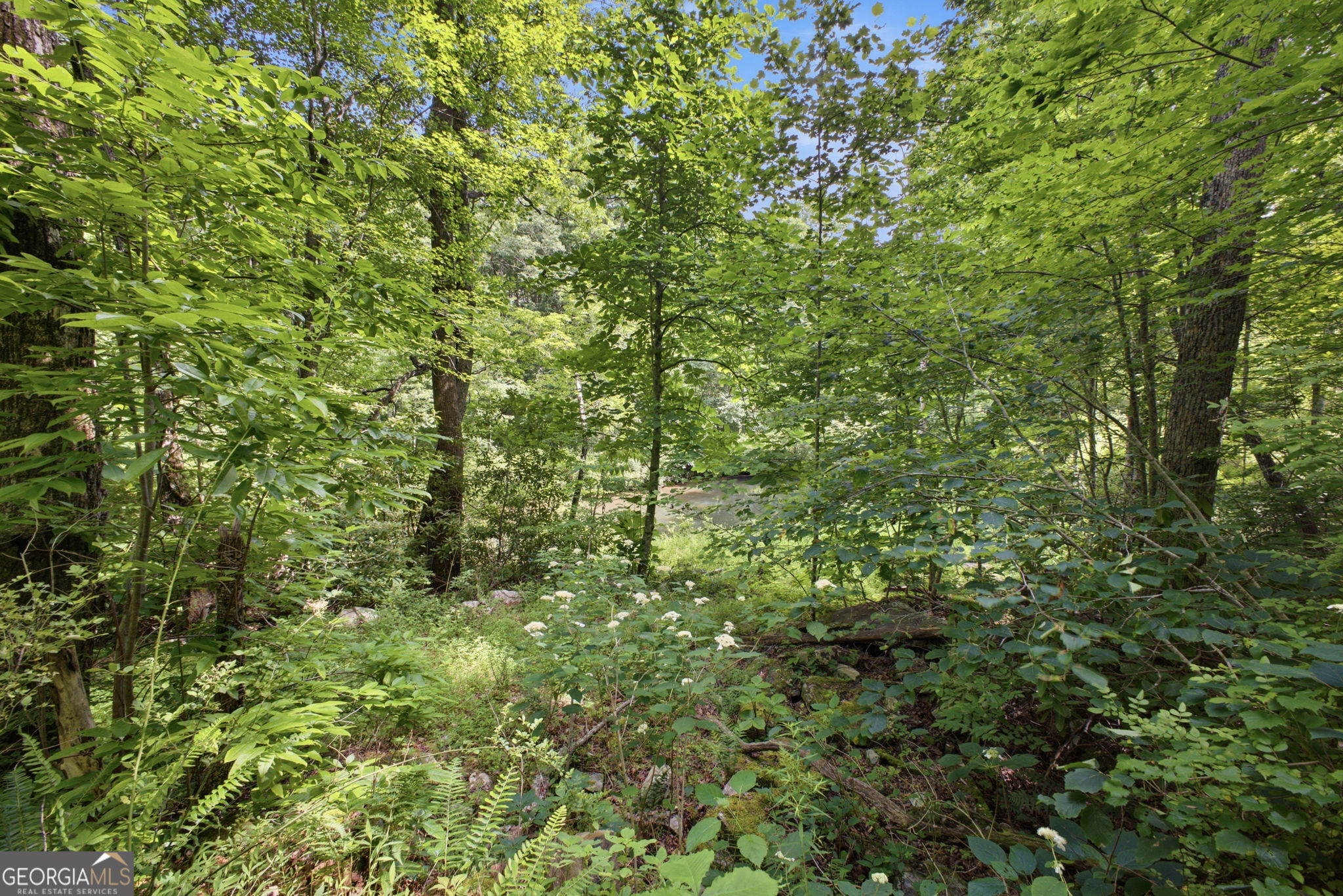 596 Riverhaven Lane Property Photo 42