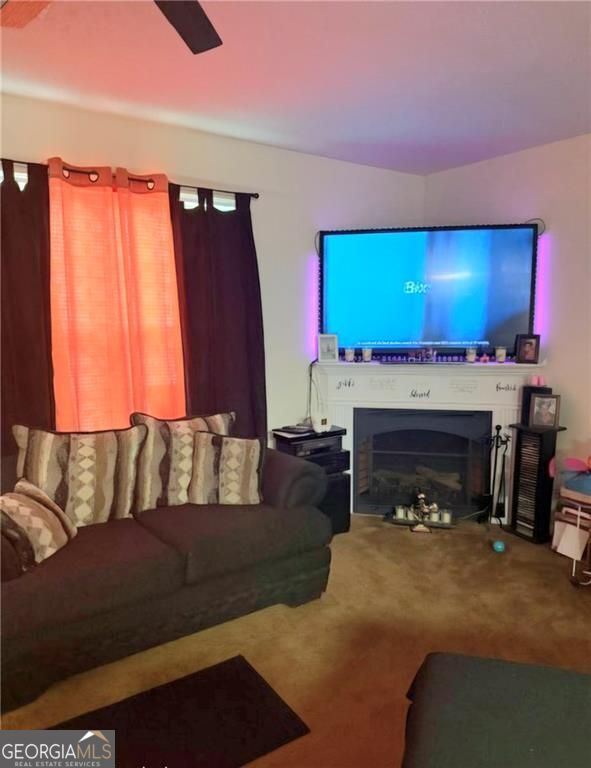 1727 Old Dogwood Property Photo 4