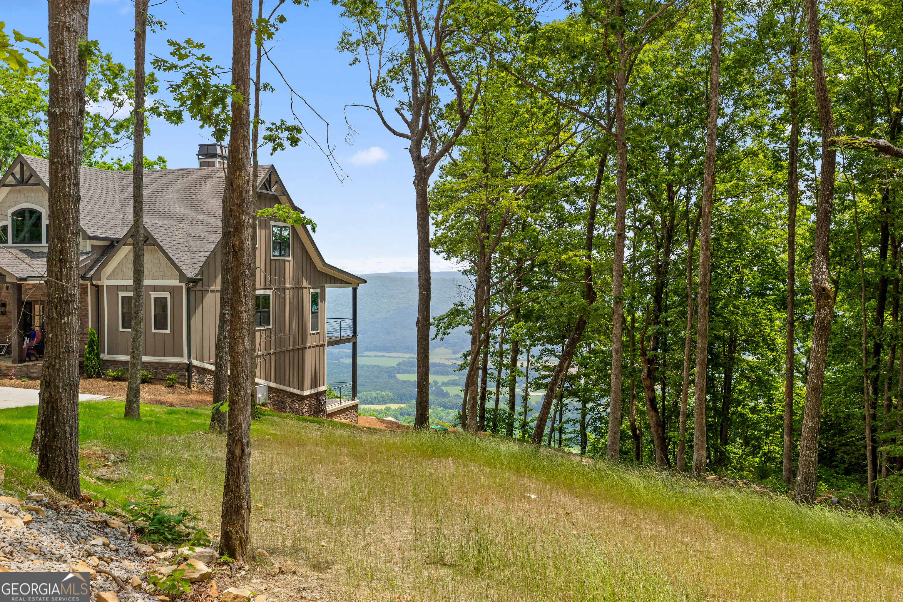 22731 Ga 157 Highway Property Photo 9