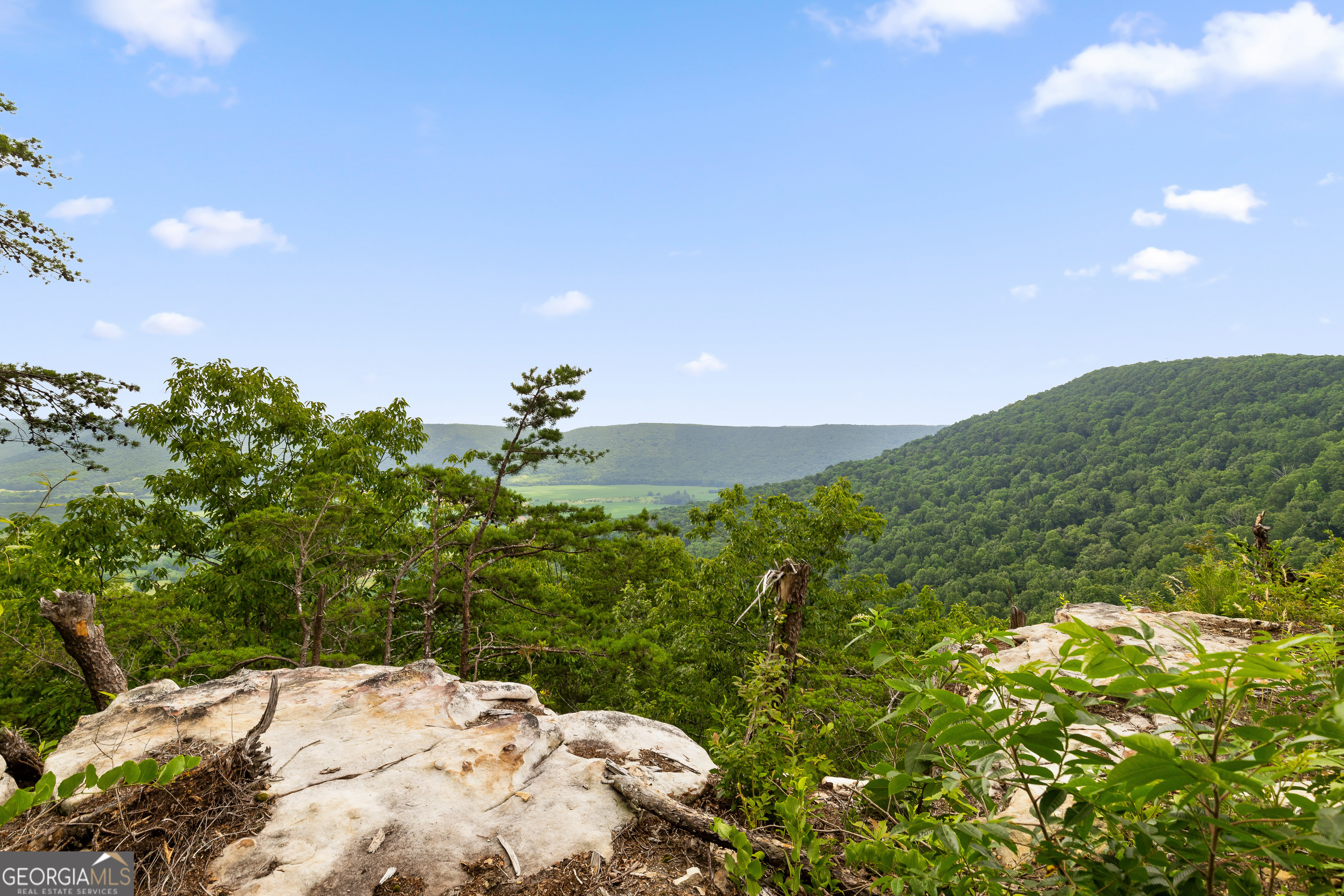 22731 Ga 157 Highway Property Photo 15