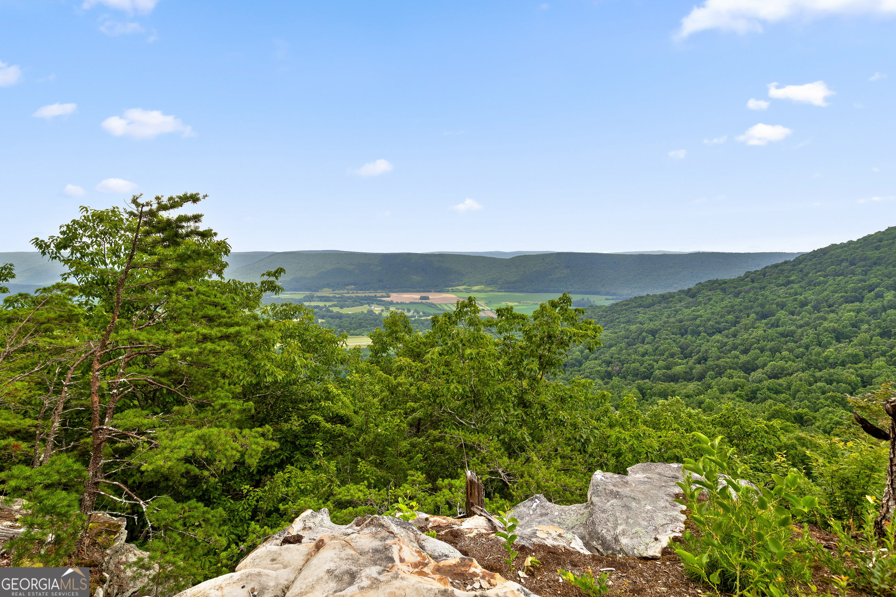 22731 Ga 157 Highway Property Photo 16