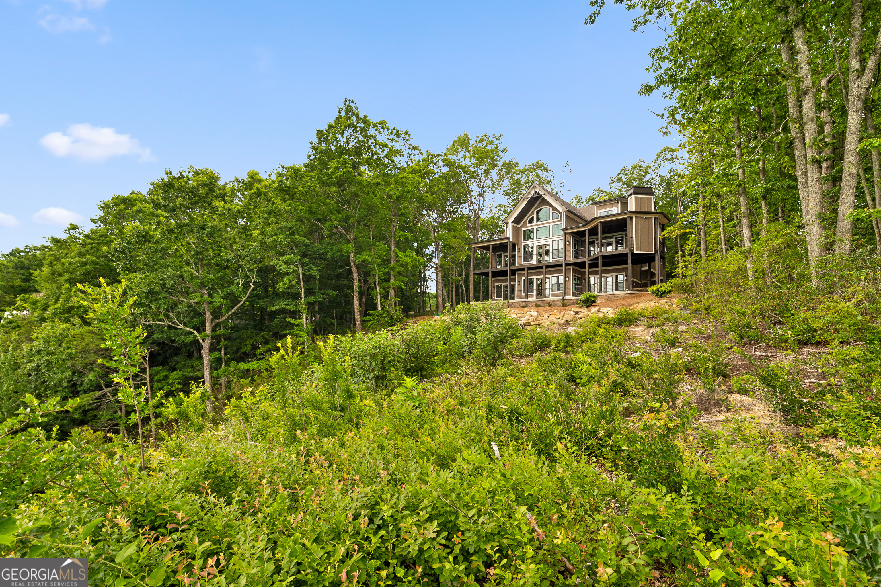 22731 Ga 157 Highway Property Photo 101