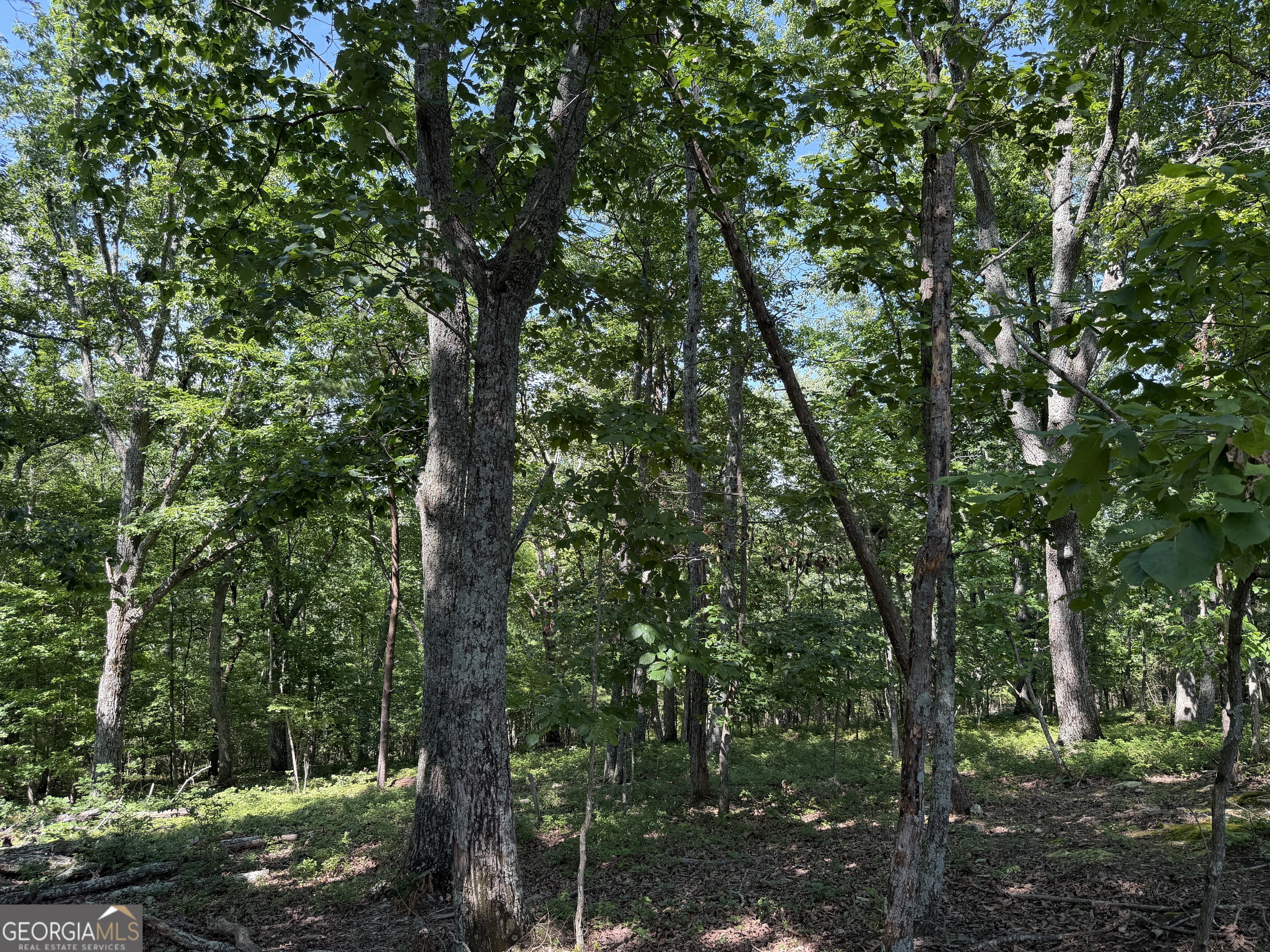 587 E Valley Road Ne Property Photo 7
