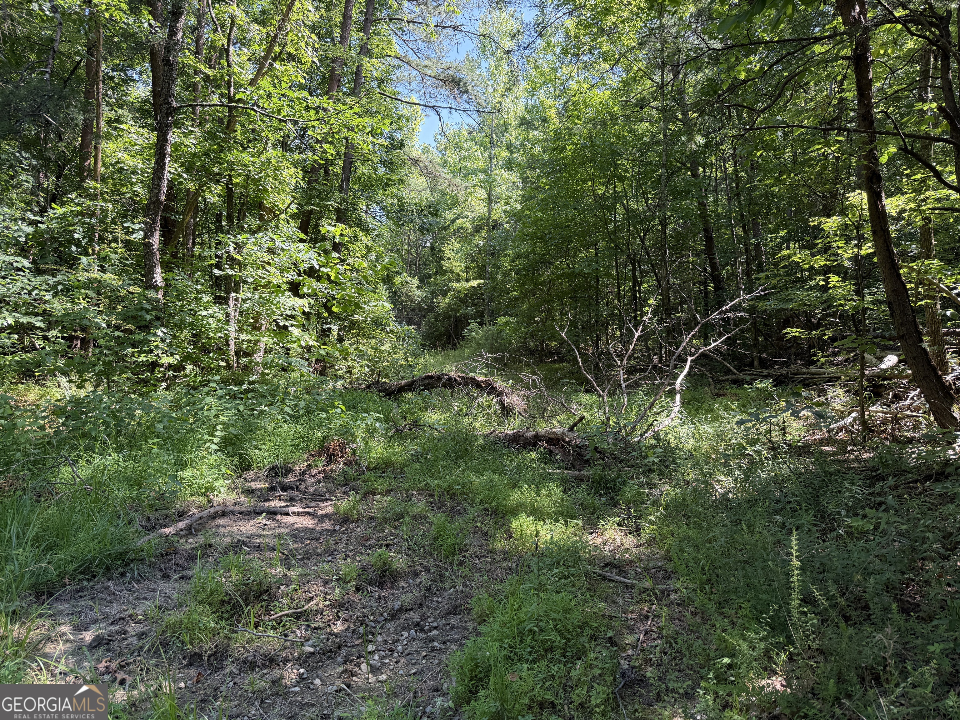 587 E Valley Road Ne Property Photo 8