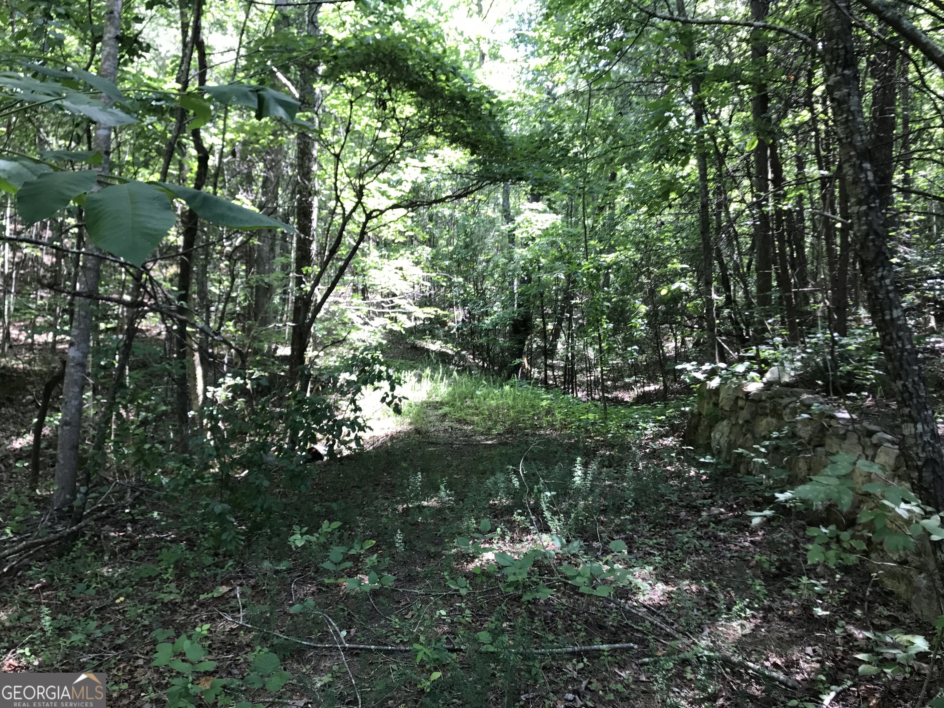 587 E Valley Road Ne Property Photo 24