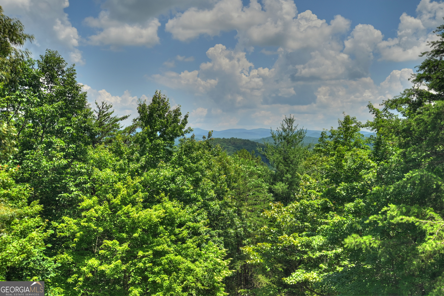 762 Pettit Ridge Road Property Photo 35
