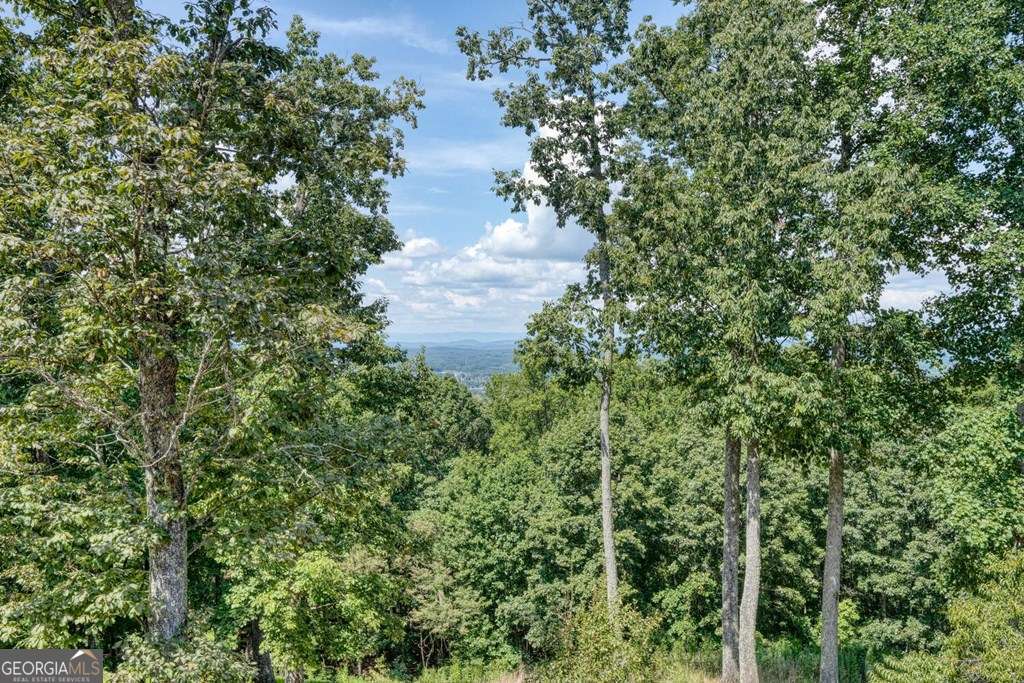 310 Hickory Fork Property Photo 61