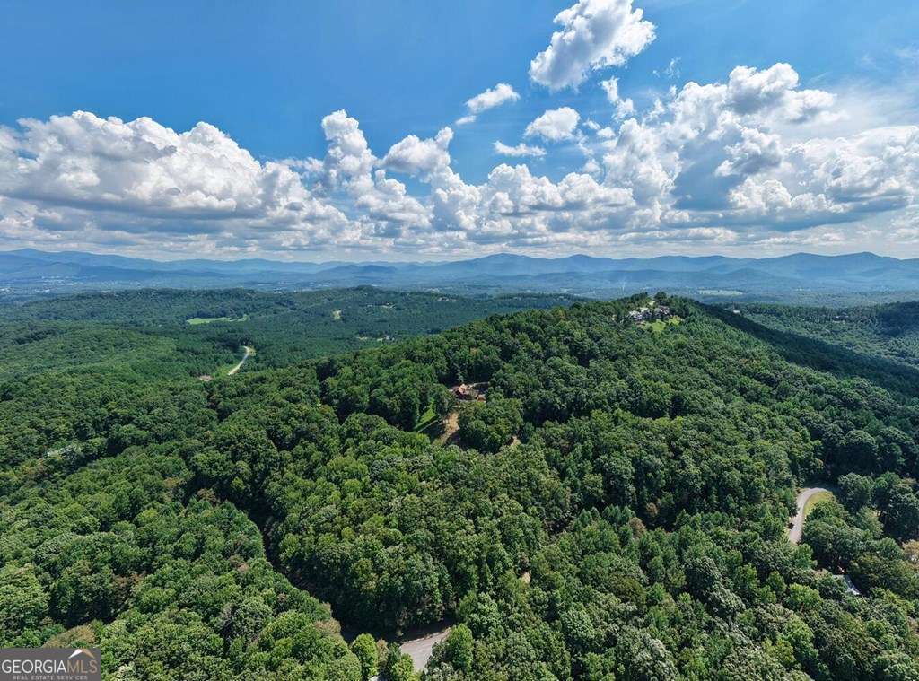 310 Hickory Fork Property Photo 65