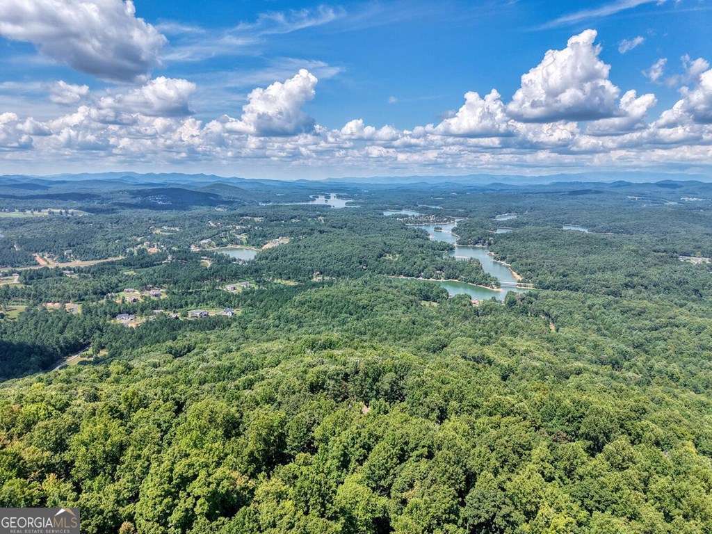 310 Hickory Fork Property Photo 66