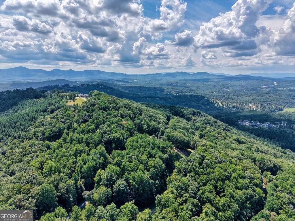 310 Hickory Fork Property Photo 67