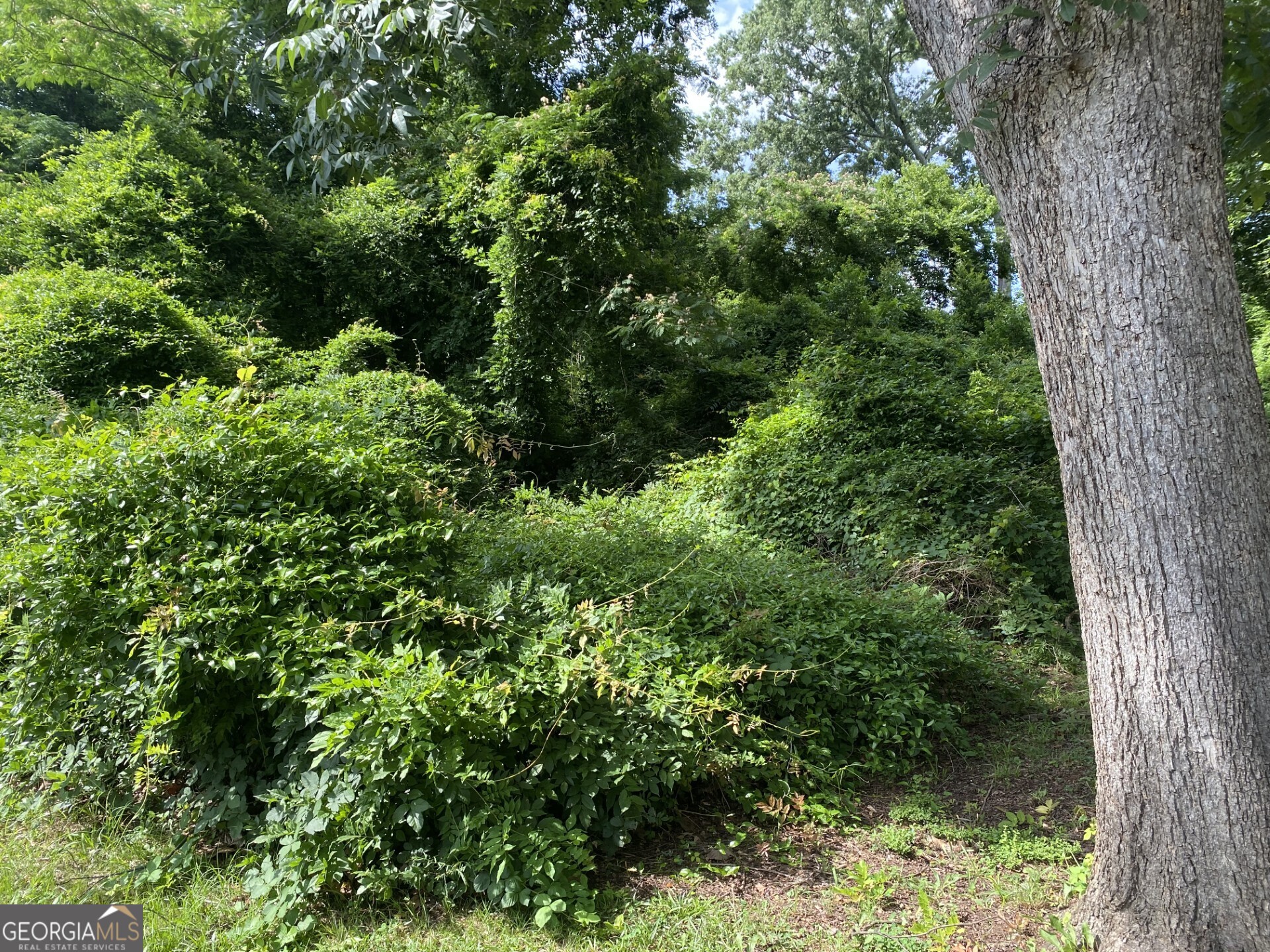 0 Dogwood North Avenue Property Photo 1