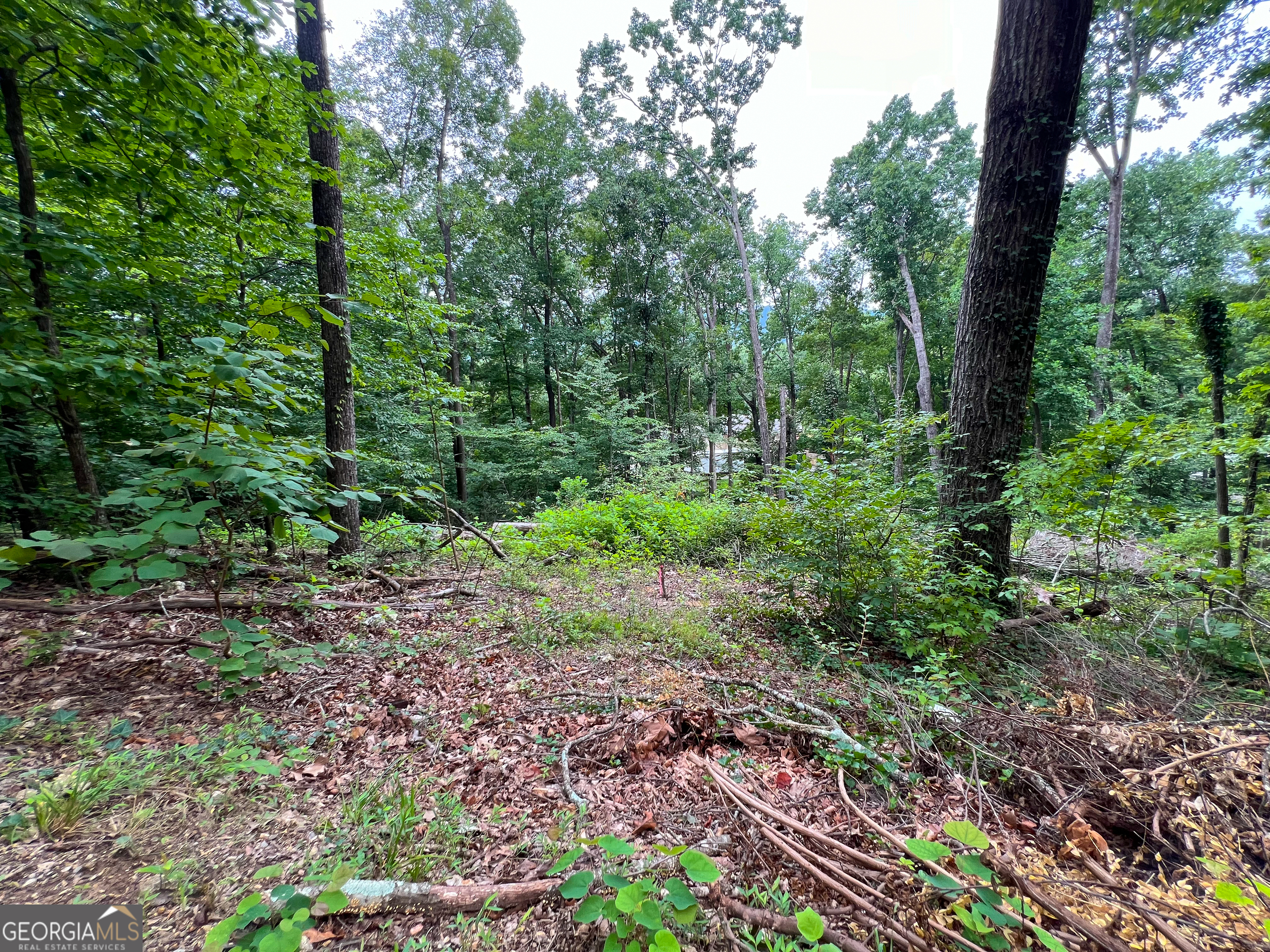 0 Shannon Drive Property Photo 2