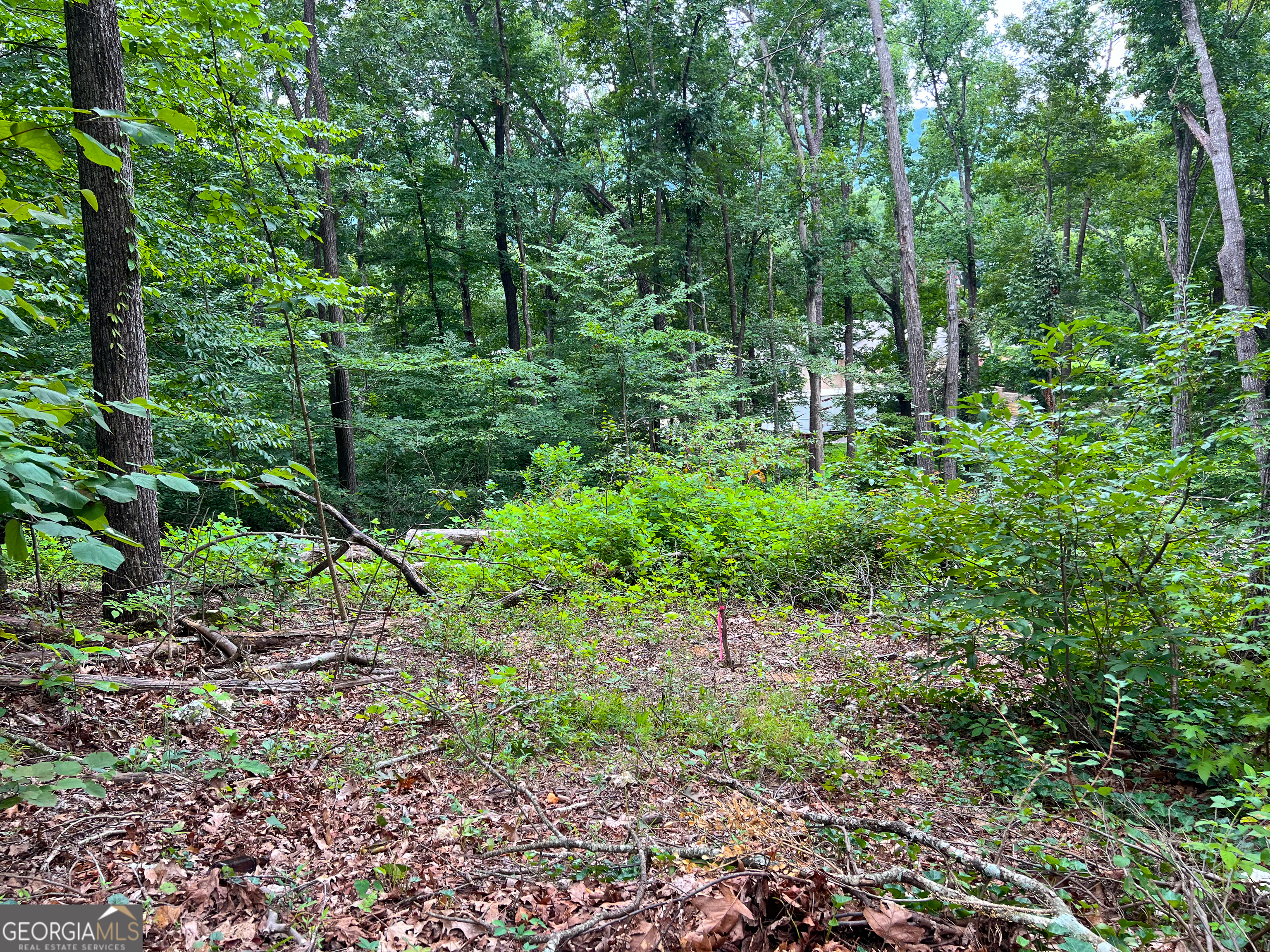 0 Shannon Drive Property Photo 3