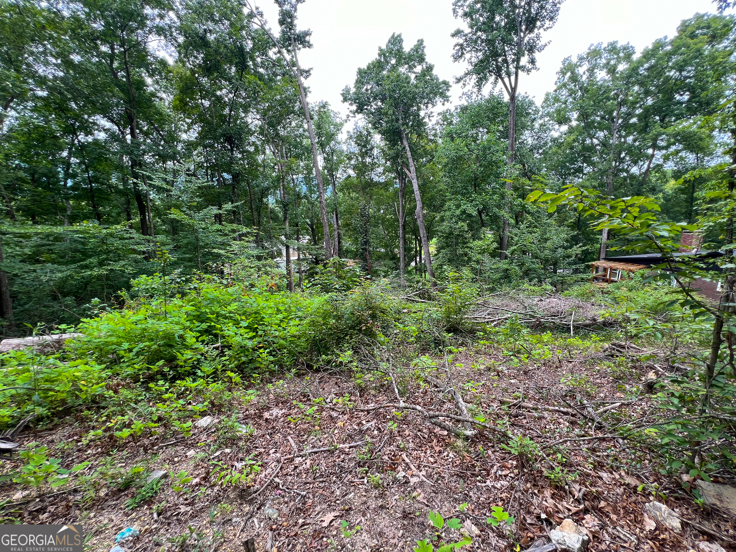 0 Shannon Drive Property Photo 4