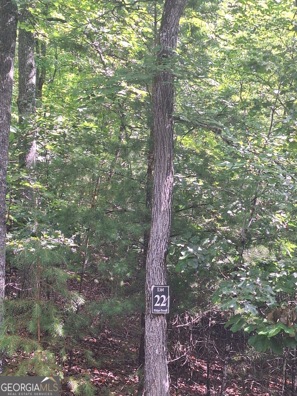 Lot 22 Meadow Brook Trail Property Photo 4