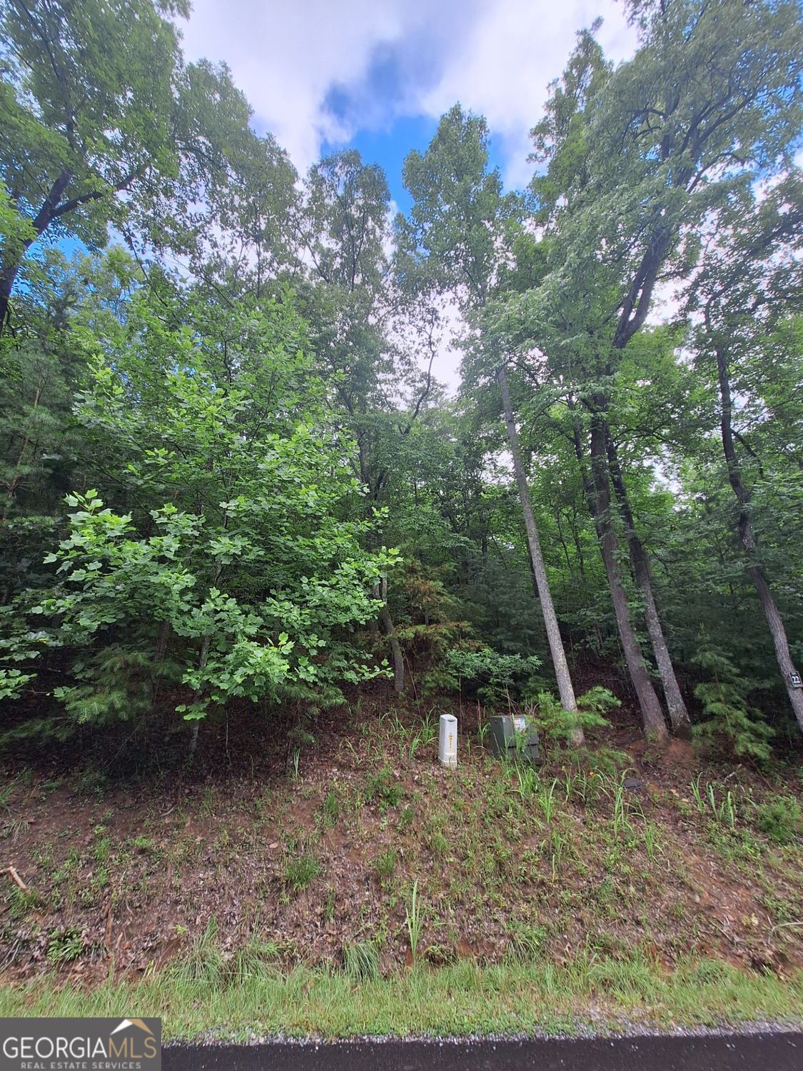Lot 22 Meadow Brook Trail Property Photo 5