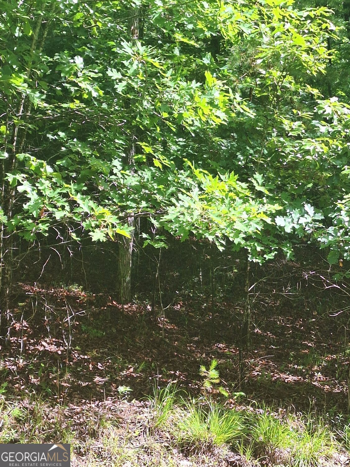 Lot 22 Meadow Brook Trail Property Photo 6
