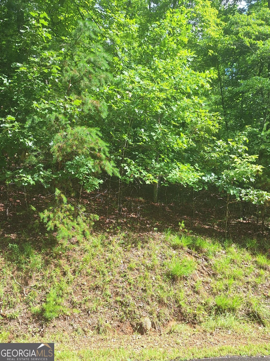 Lot 22 Meadow Brook Trail Property Photo 9