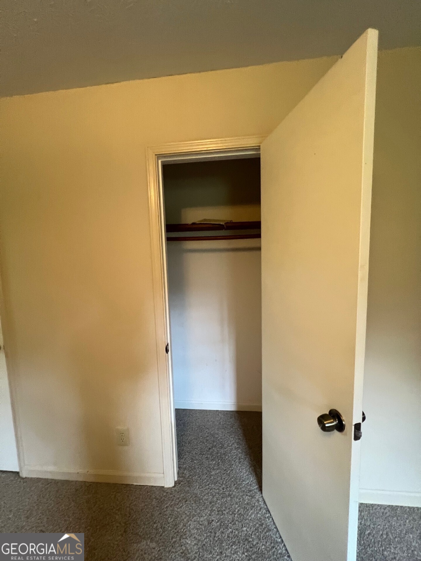 1047 Chestnut Oak Court Ne Property Photo 21