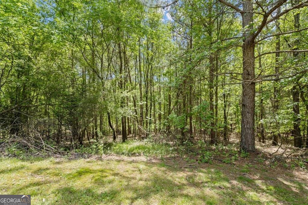 16160 Henderson Road Property Photo 5