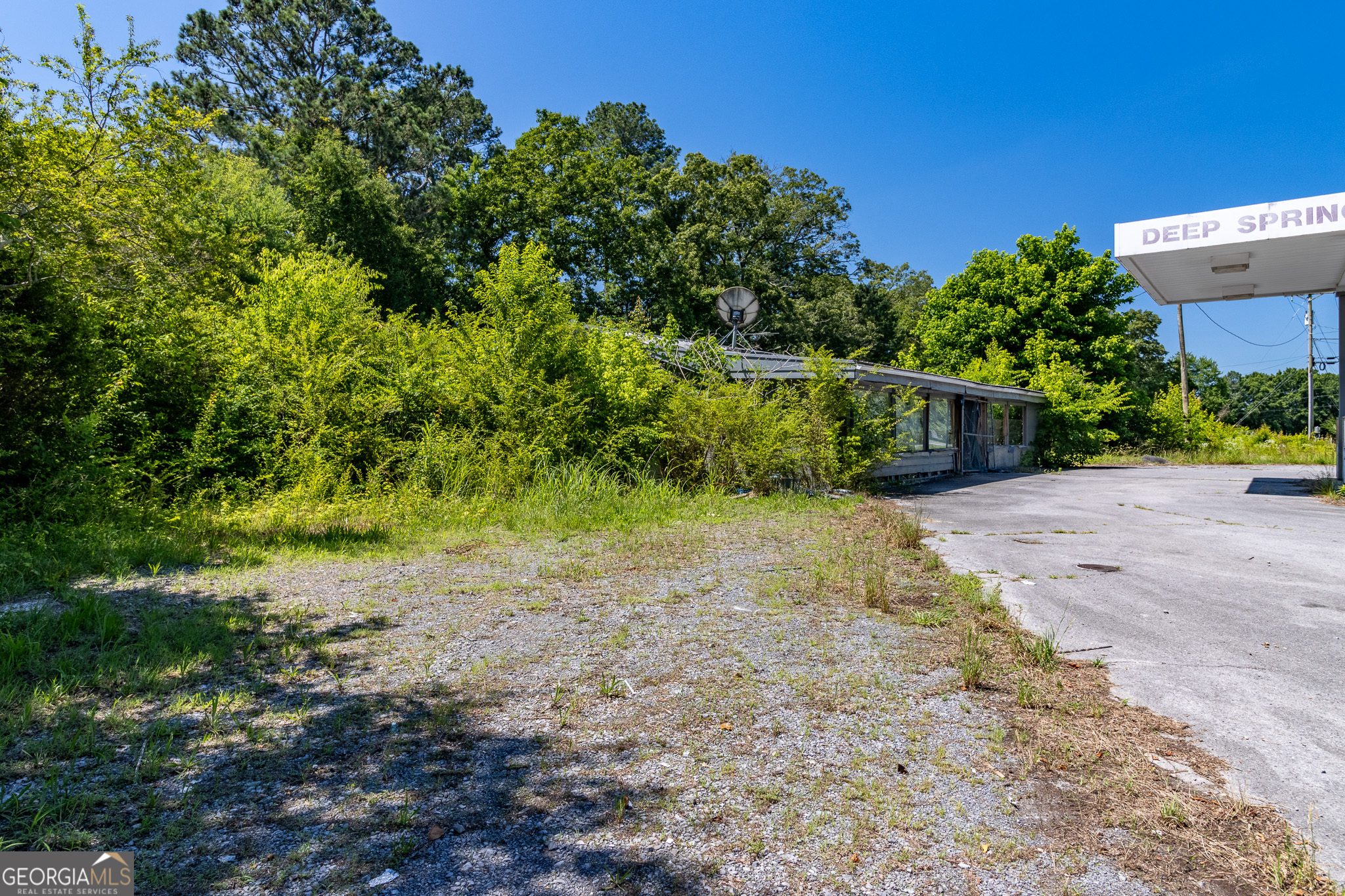 1640 Beaverdale Property Photo 6