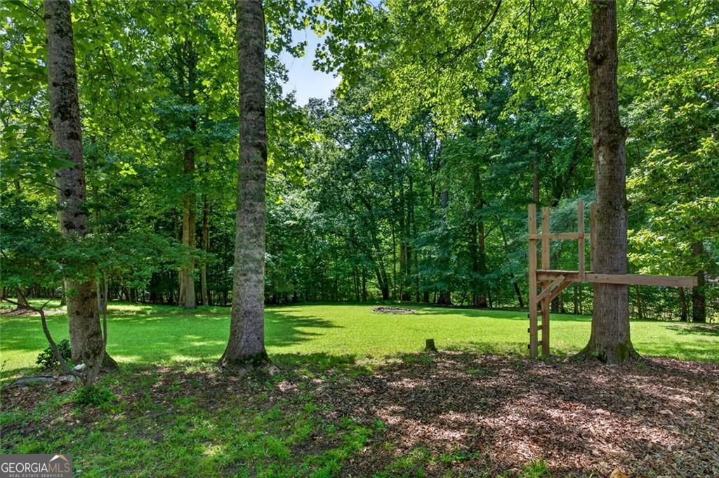 3355 Springdale Forrest Circle Property Photo 56