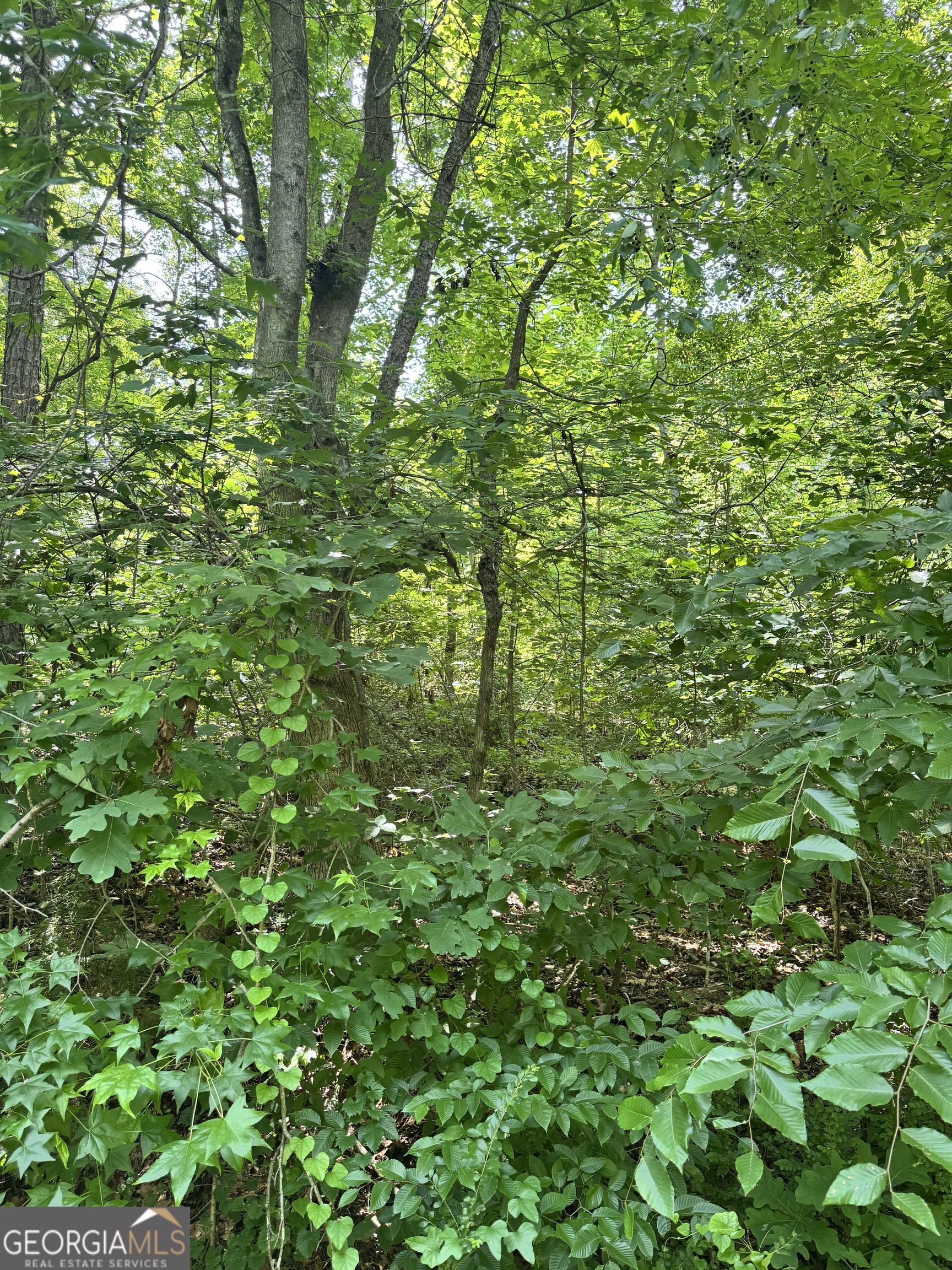 1469 Lakeside Trail Property Photo 2