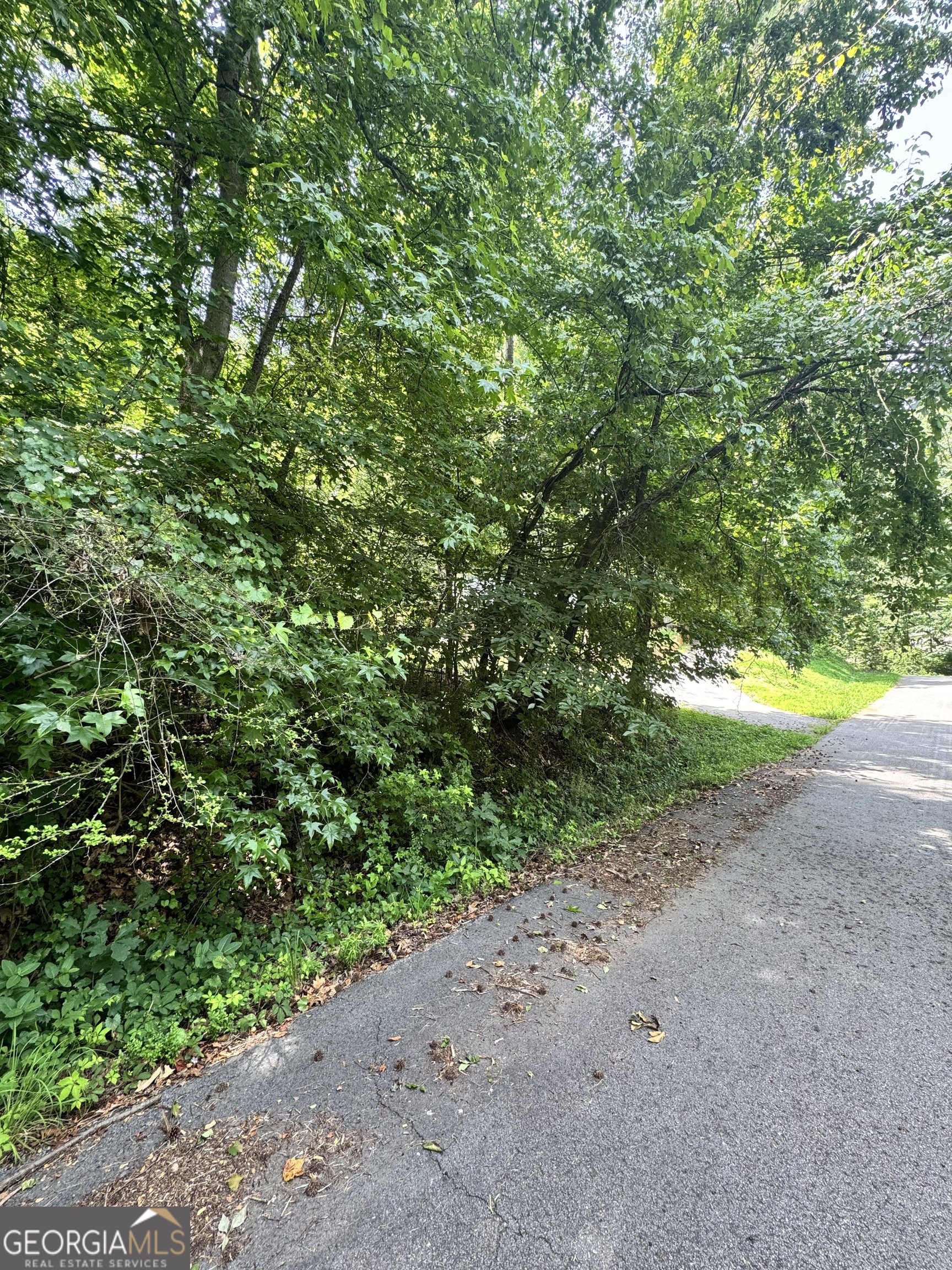 1469 Lakeside Trail Property Photo 3