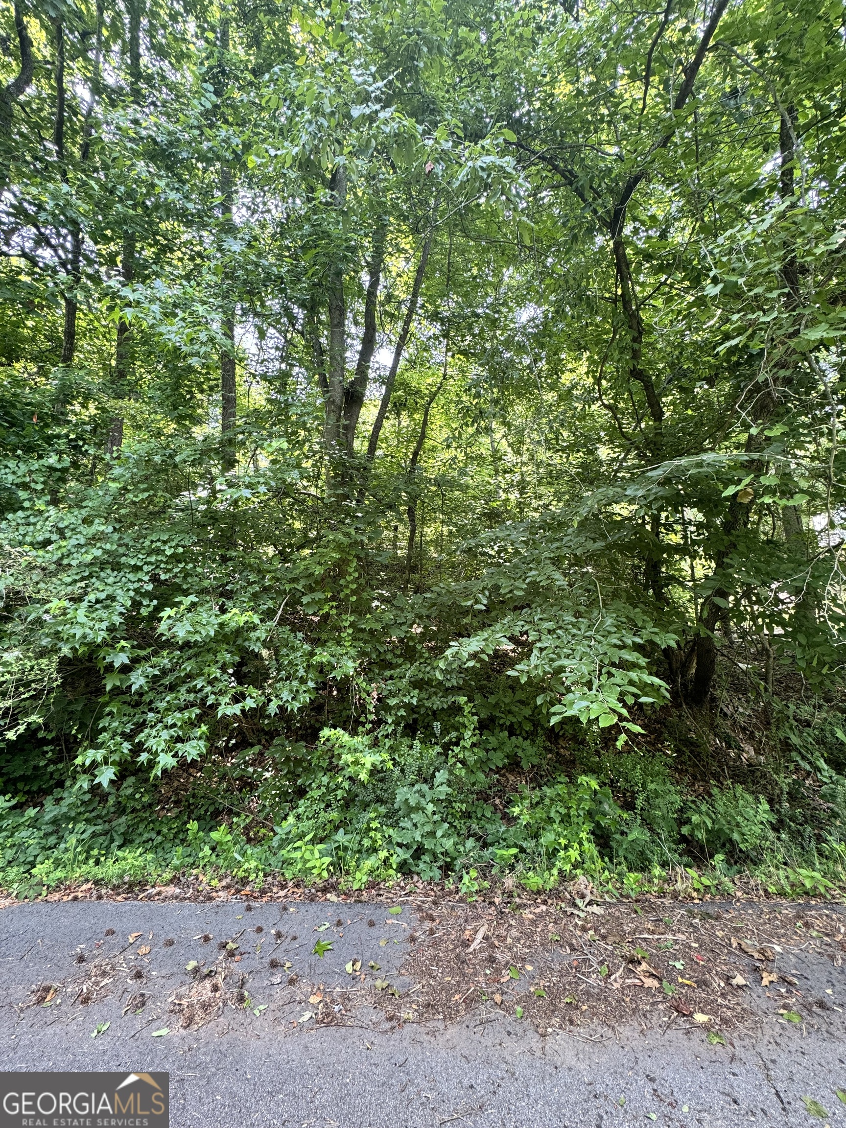 1469 Lakeside Trail Property Photo 4